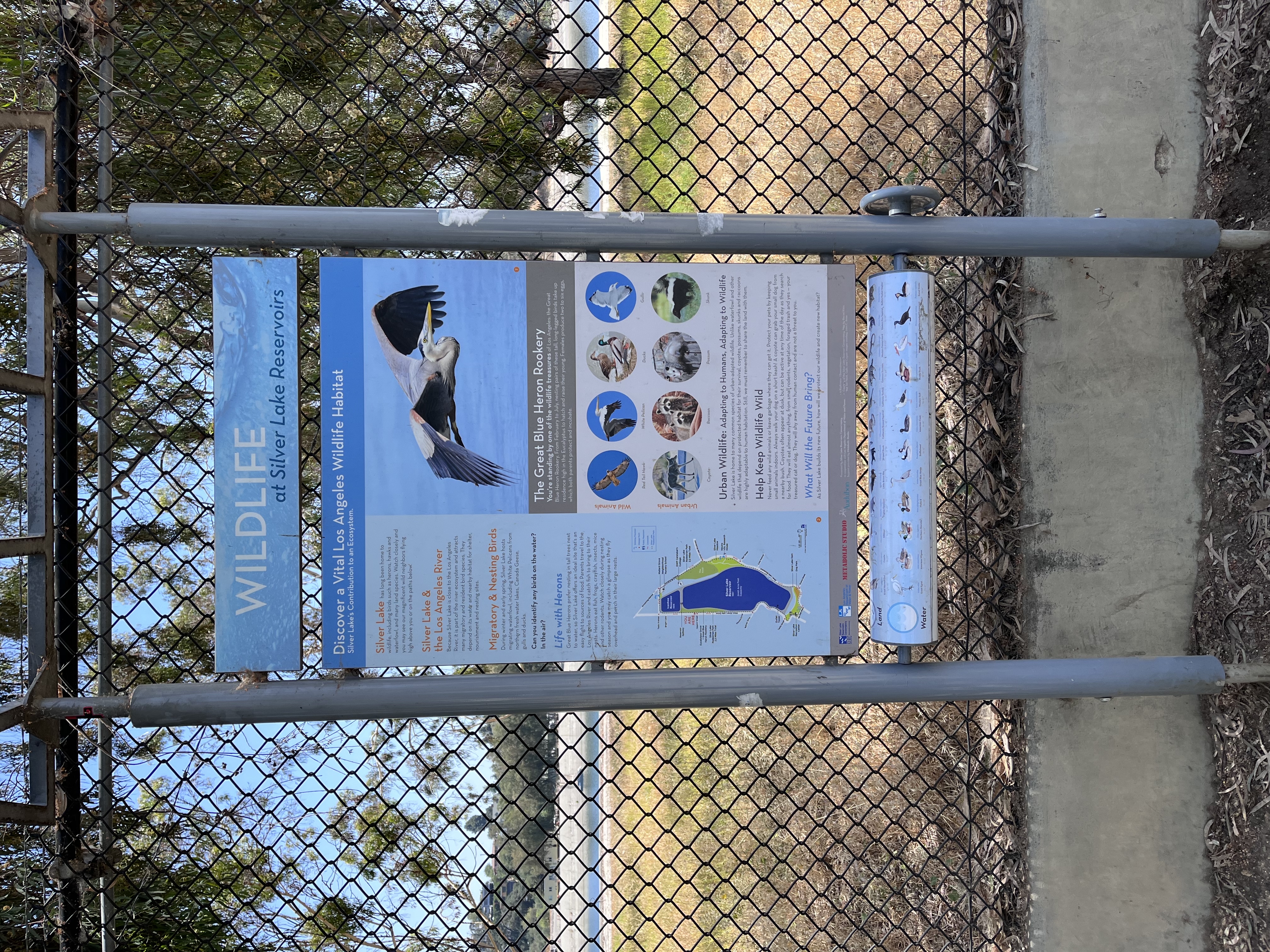 Silver Lake Reservoir Trail