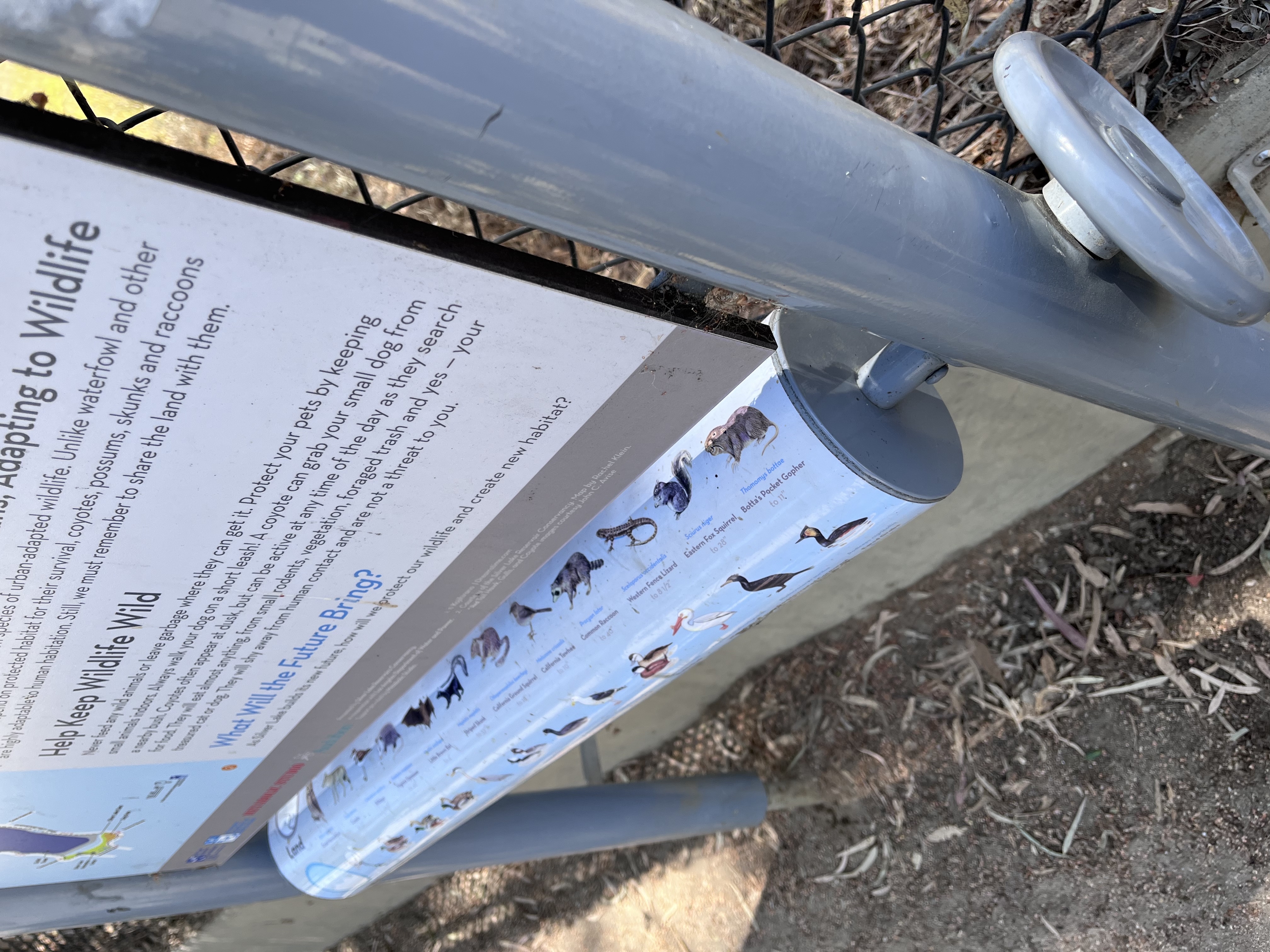Silver Lake Reservoir Trail