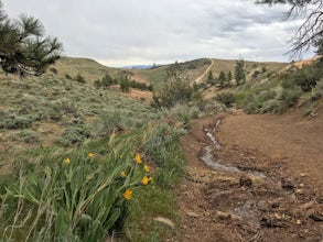 Peavine Peak Trail