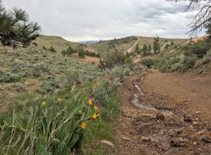 Peavine Peak Trail