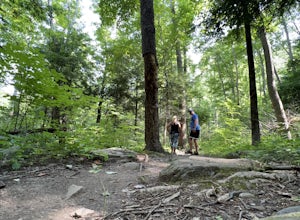 Twin Creeks Trail