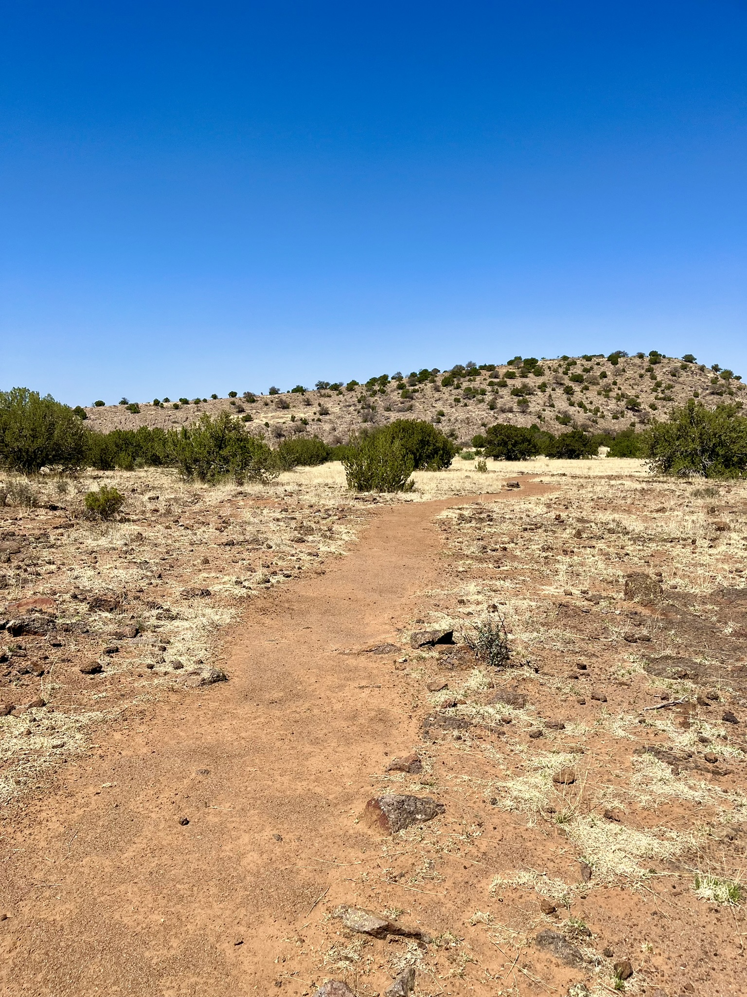 Clayton’s Overlook Loop