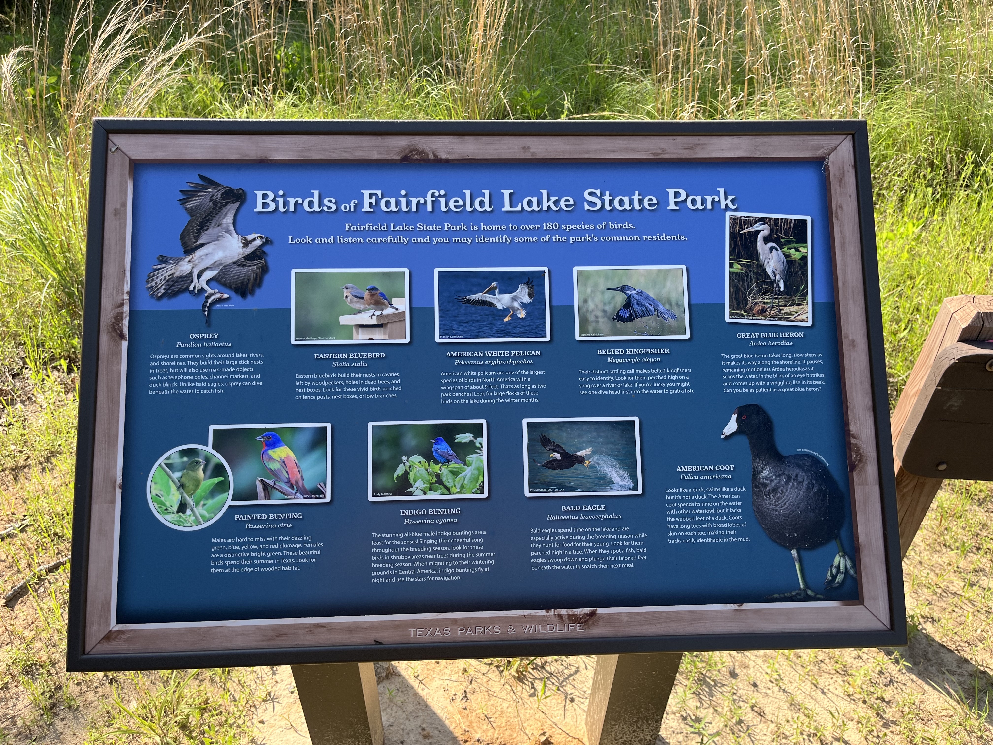 Springfield Nature Trail