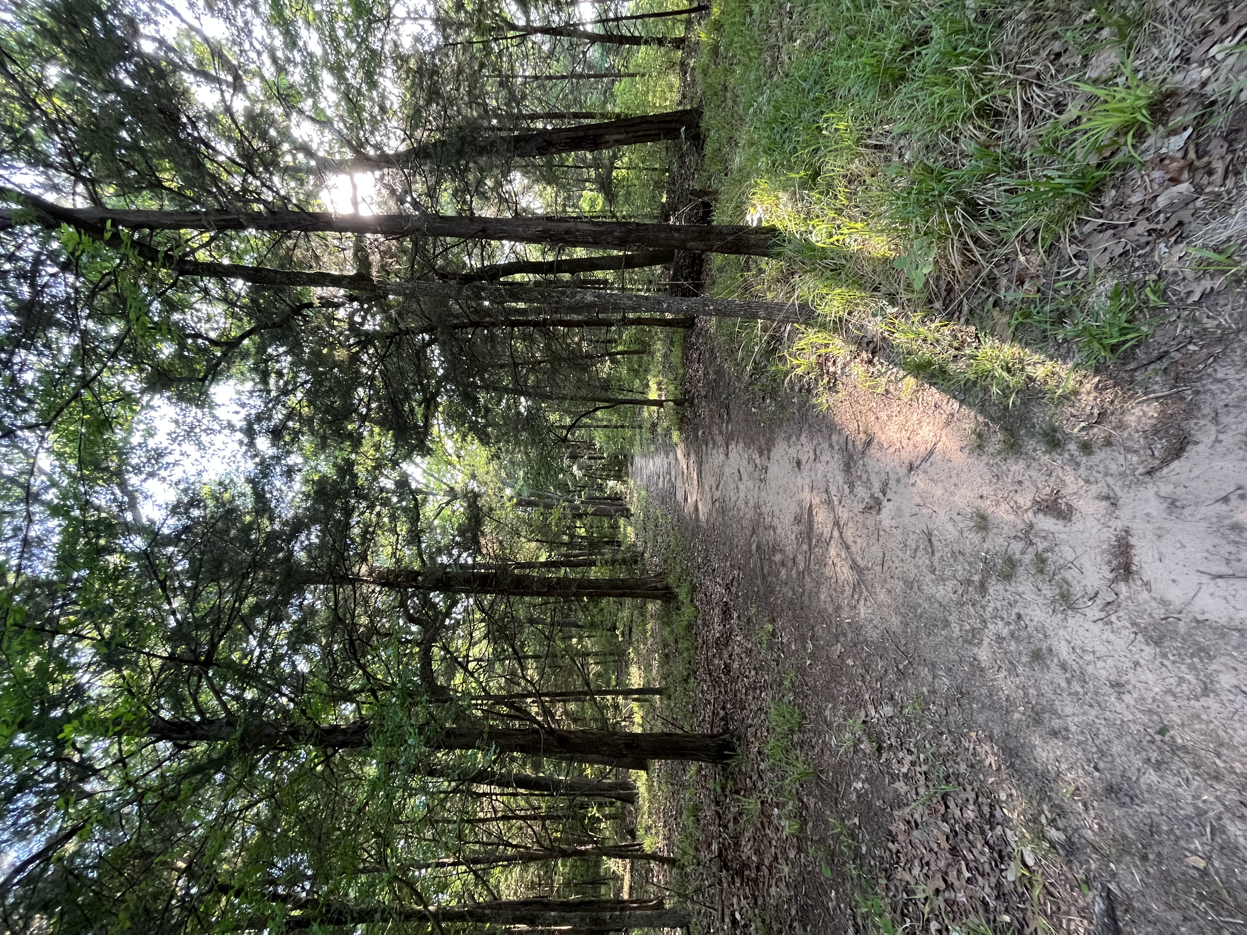 Springfield Nature Trail