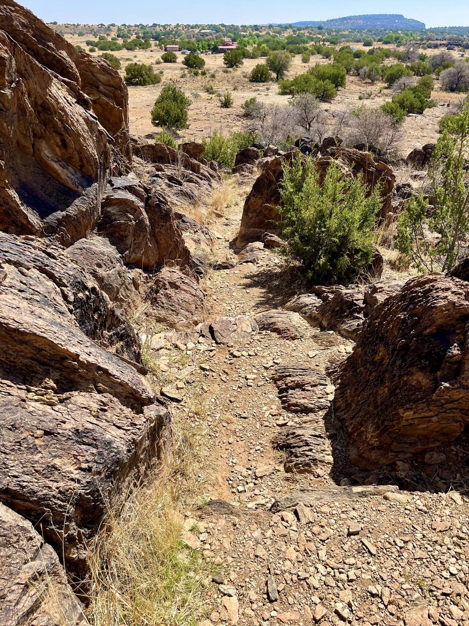 Clayton’s Overlook Loop