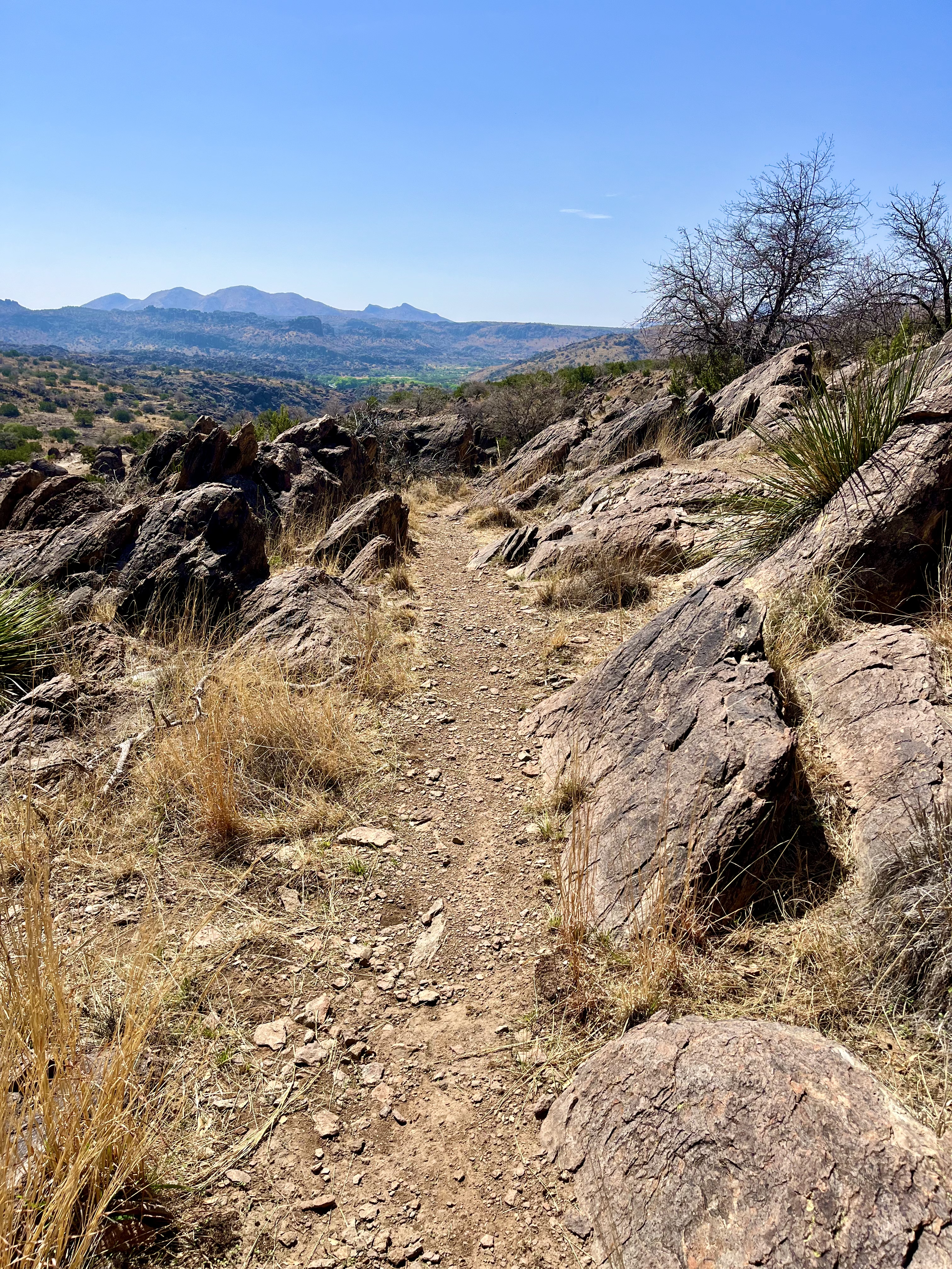 Clayton’s Overlook Loop