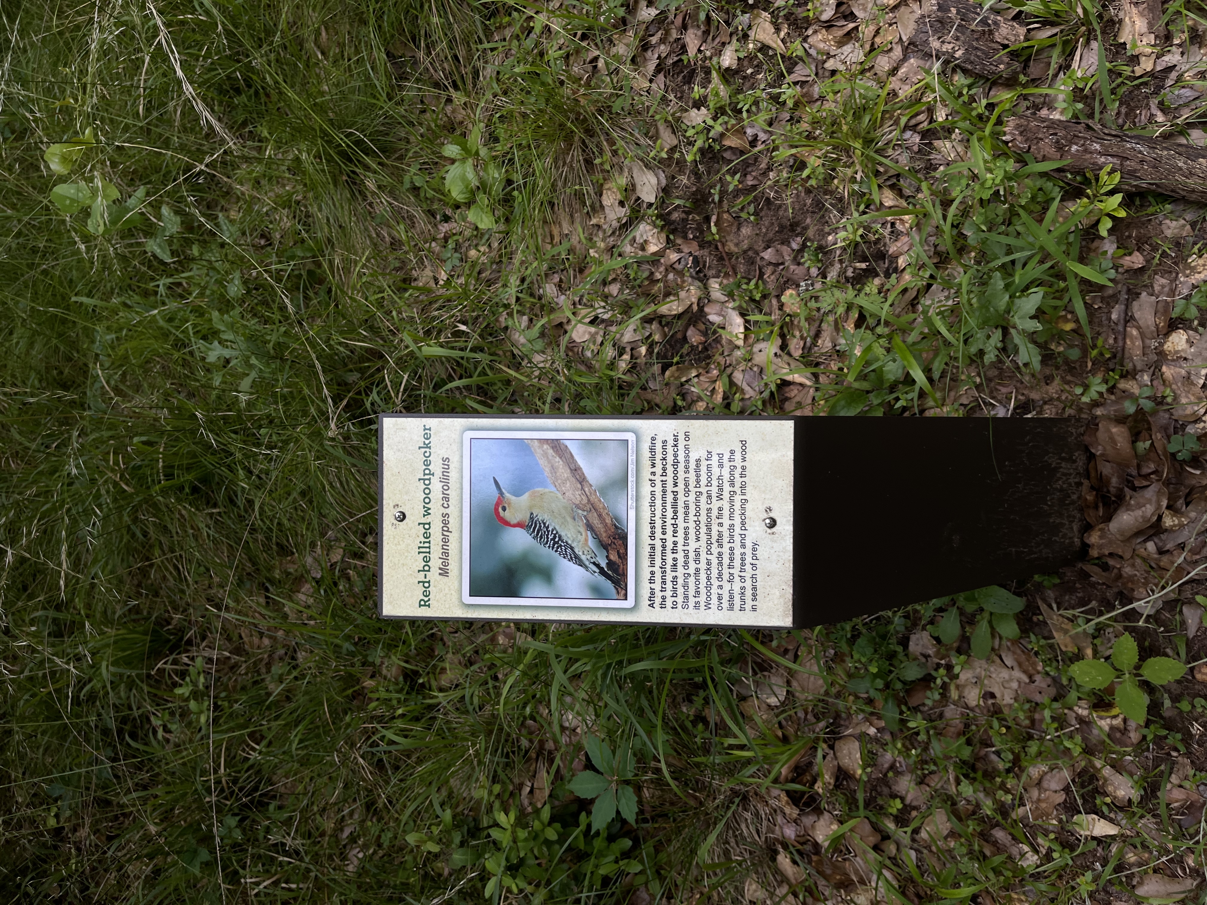 Springfield Nature Trail