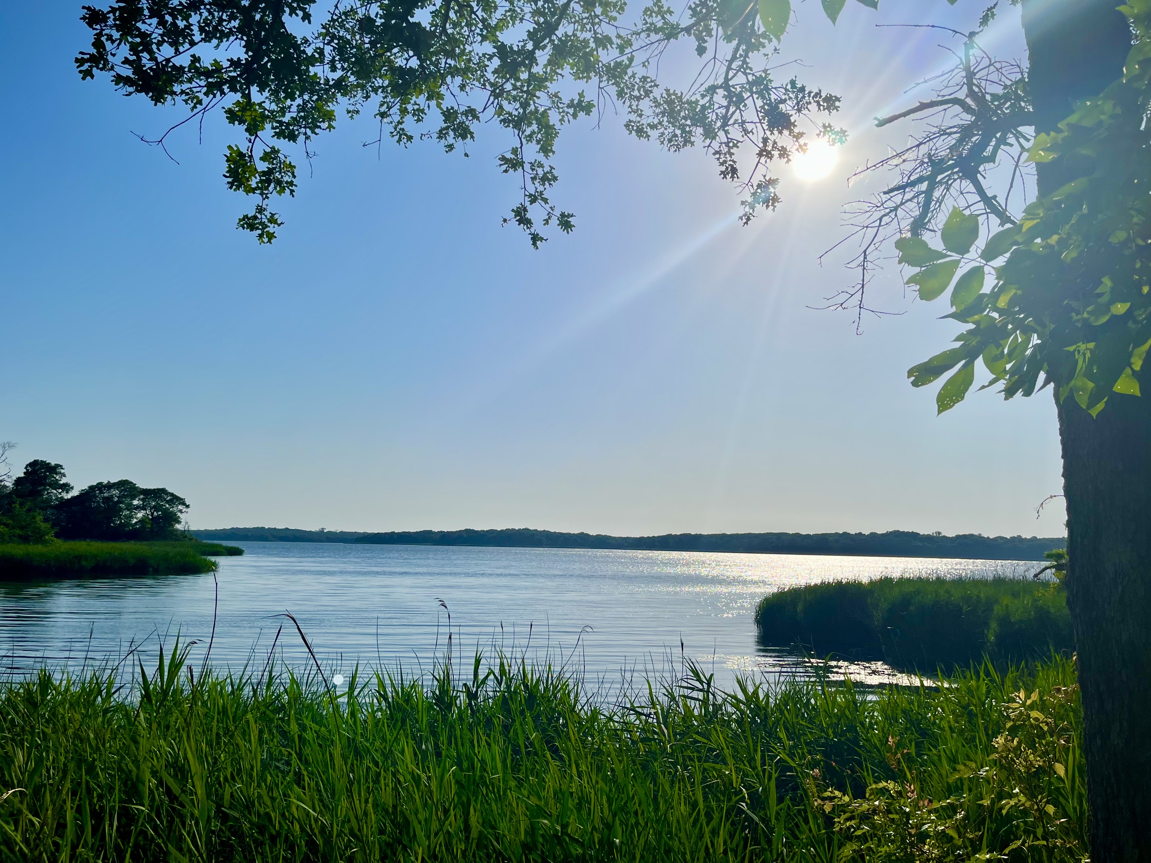 Springfield Nature Trail
