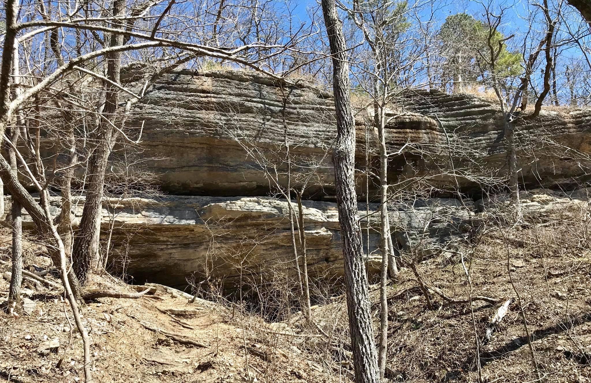 Shaddox Hollow Nature Trail