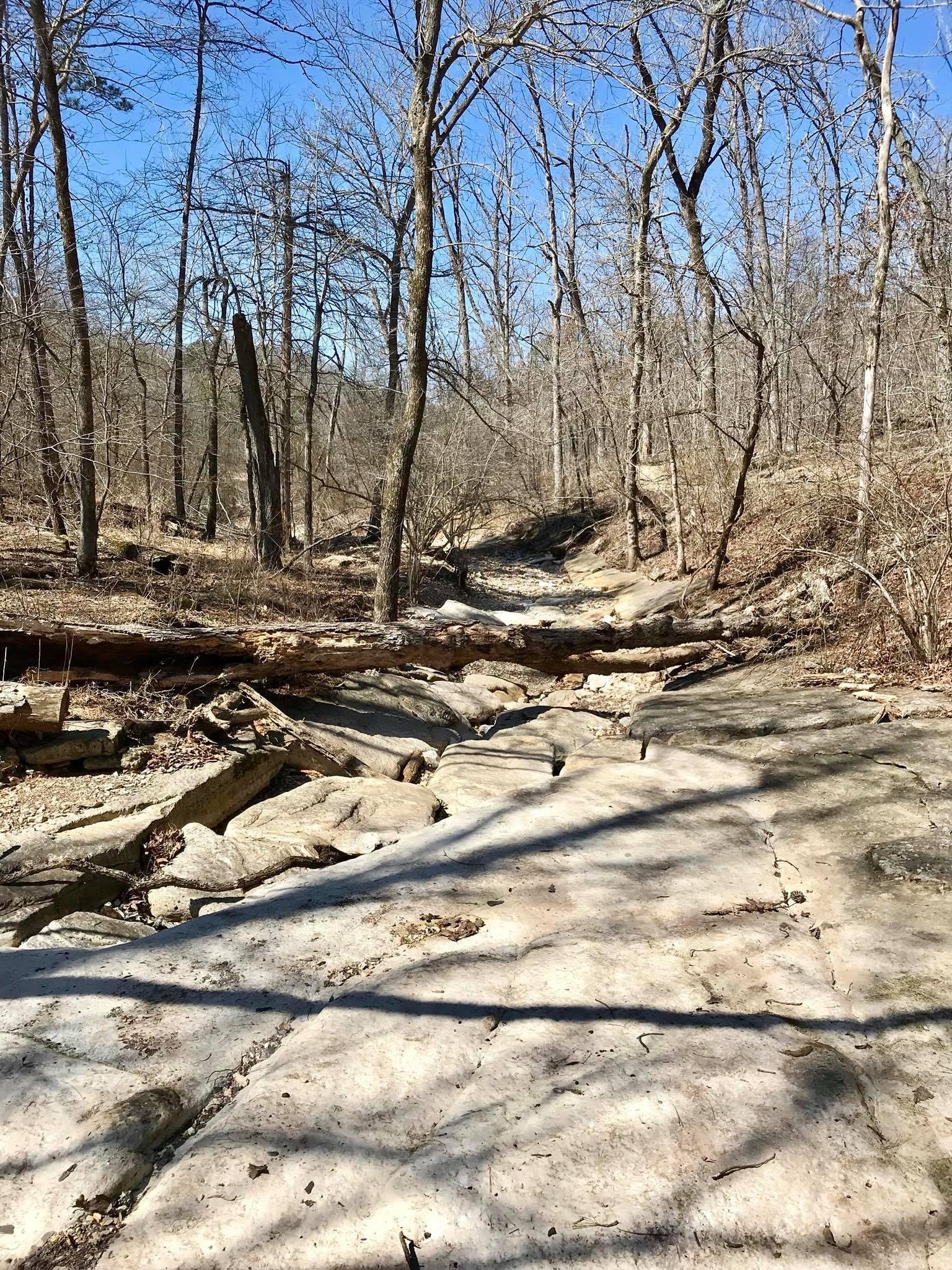 Shaddox Hollow Nature Trail