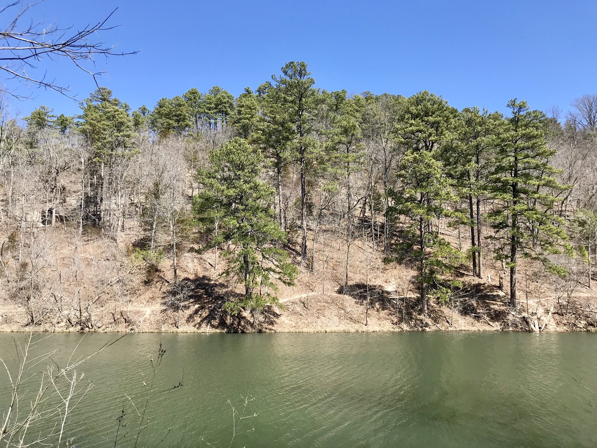 Black Bass Lake Trail
