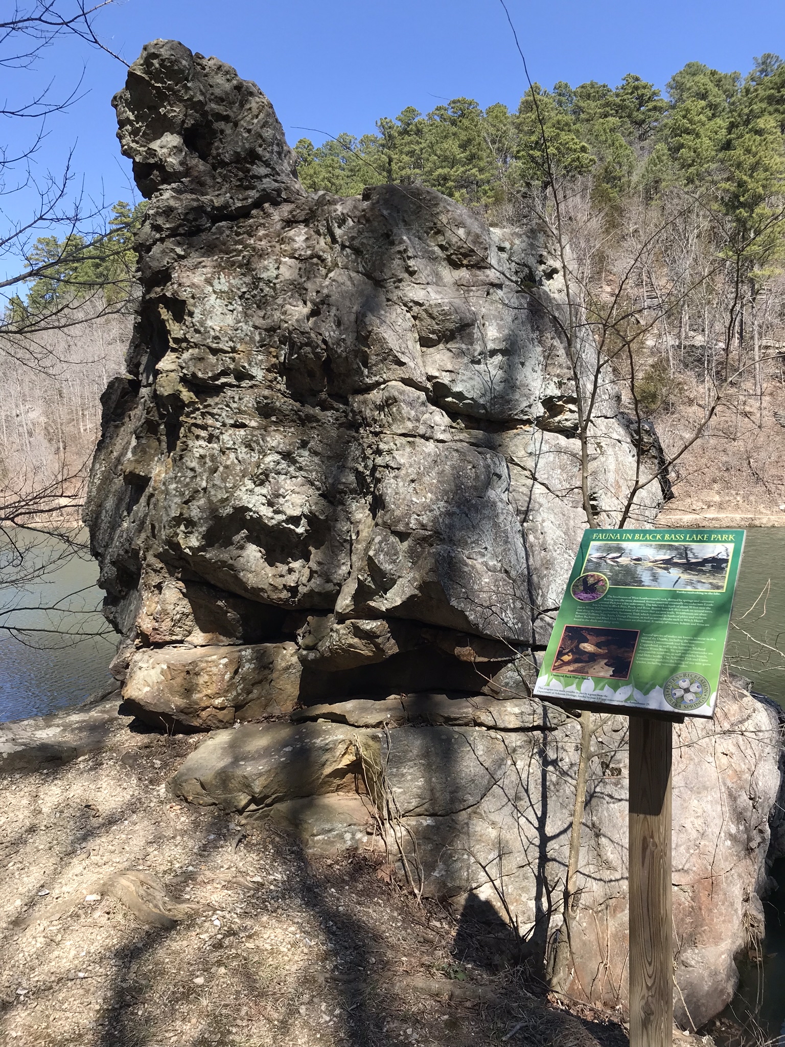 Black Bass Lake Trail