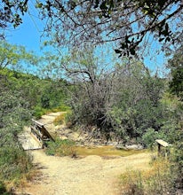 Cattail Pond Loop