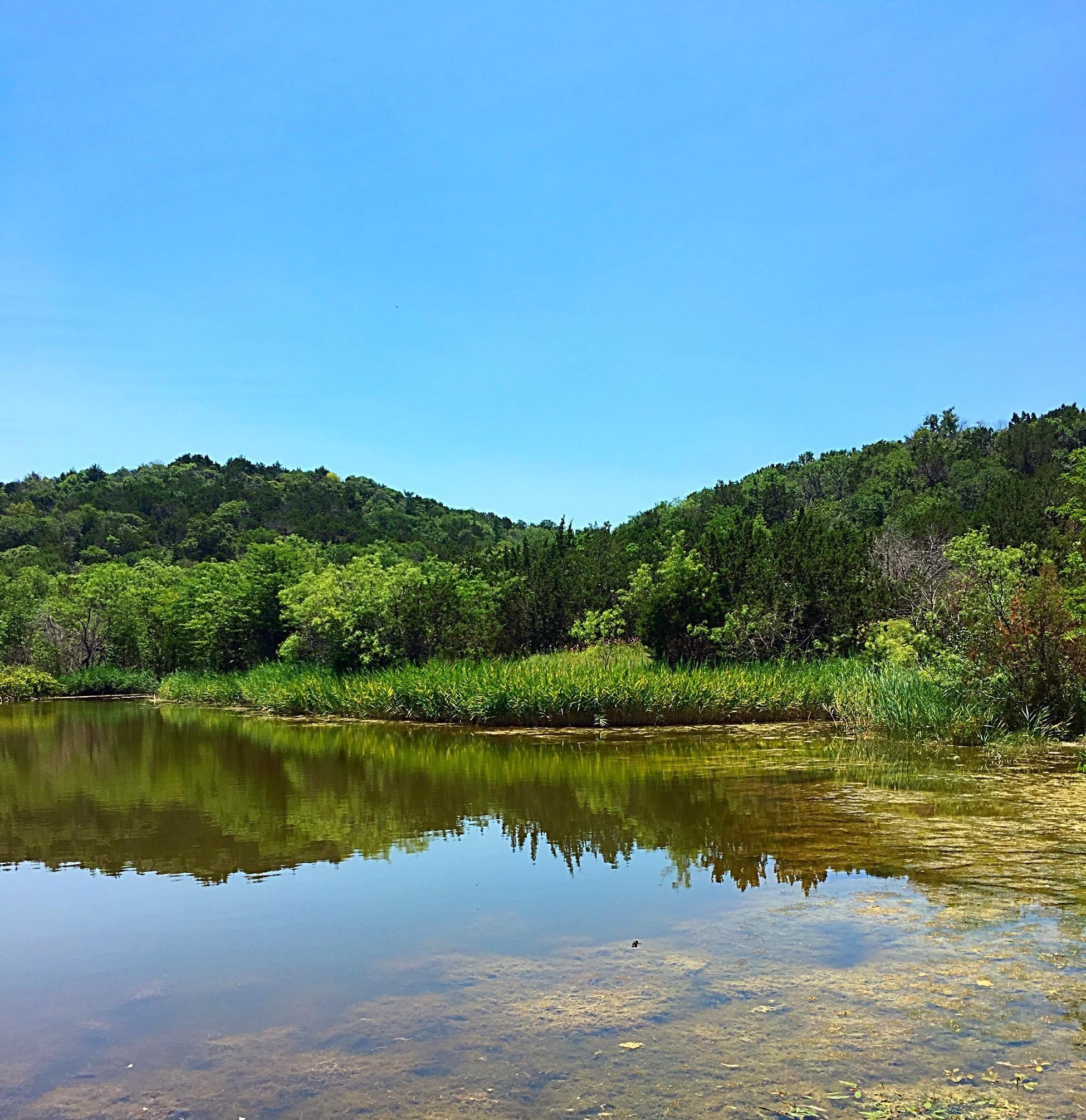 Cattail Pond Loop