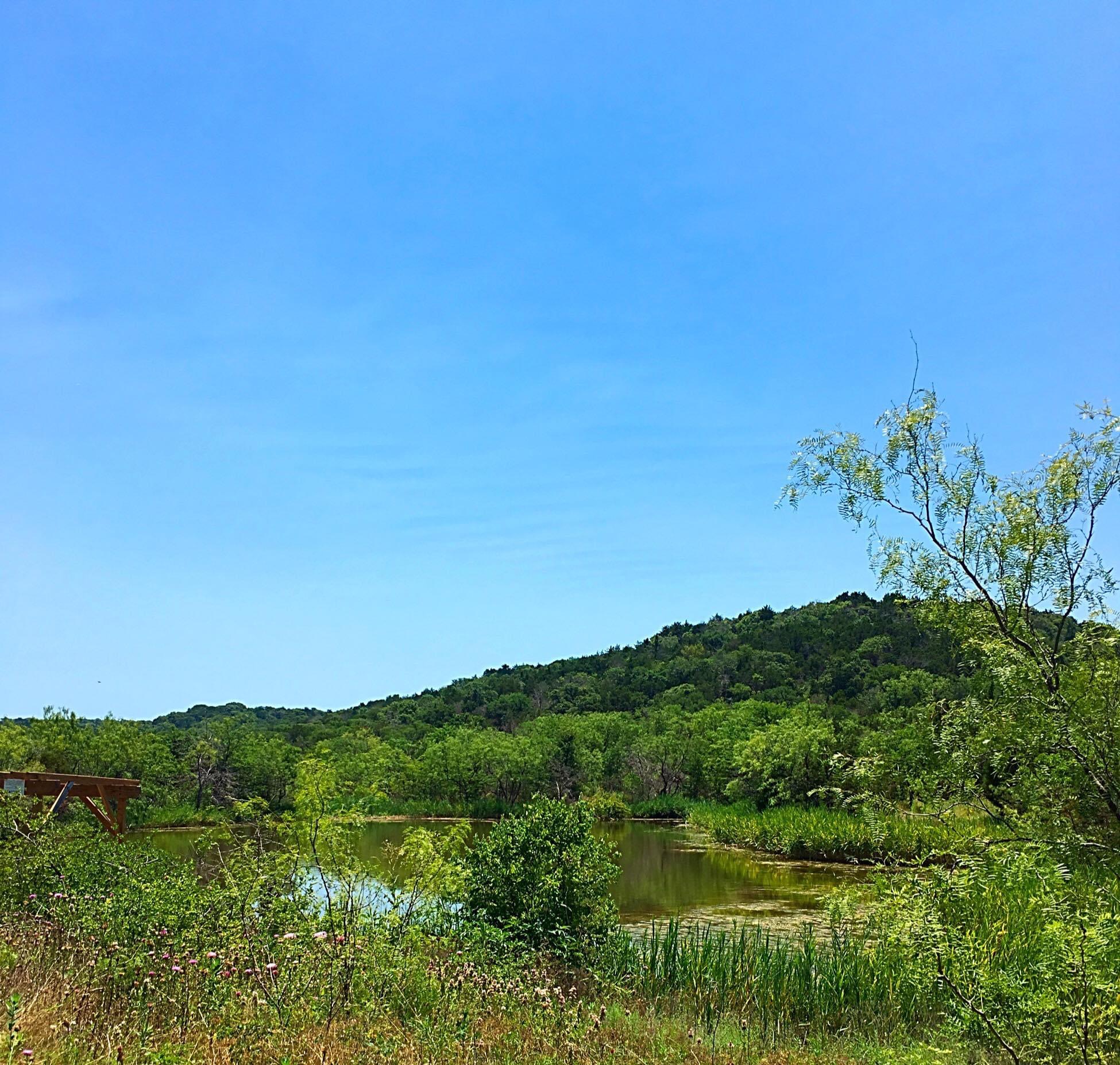 Cattail Pond Loop