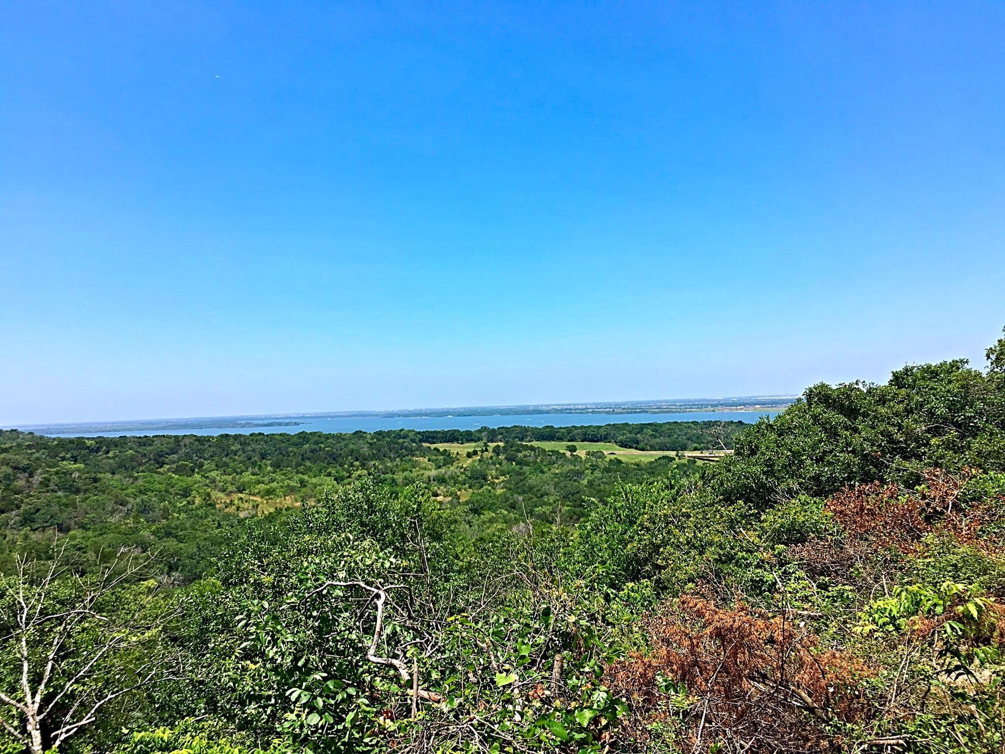 Cattail Pond Loop