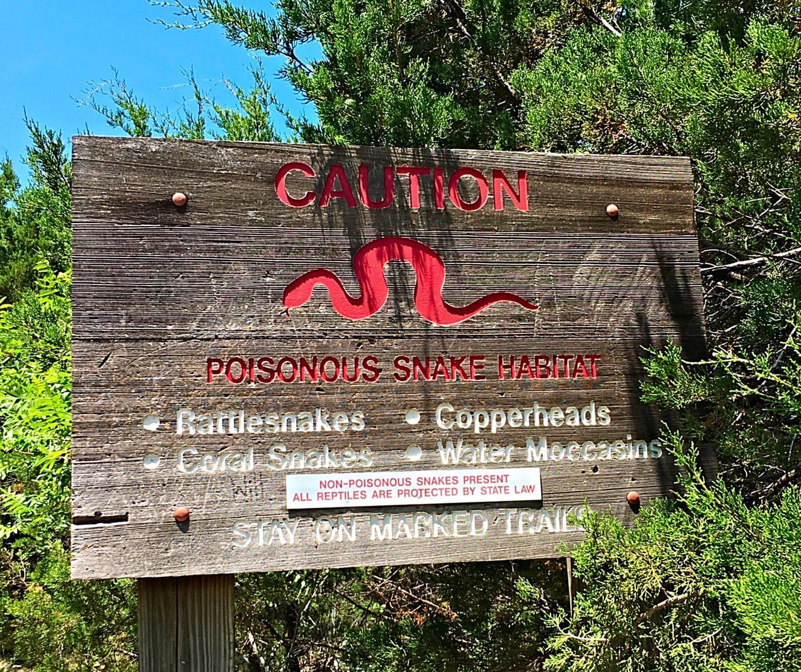 Cattail Pond Loop
