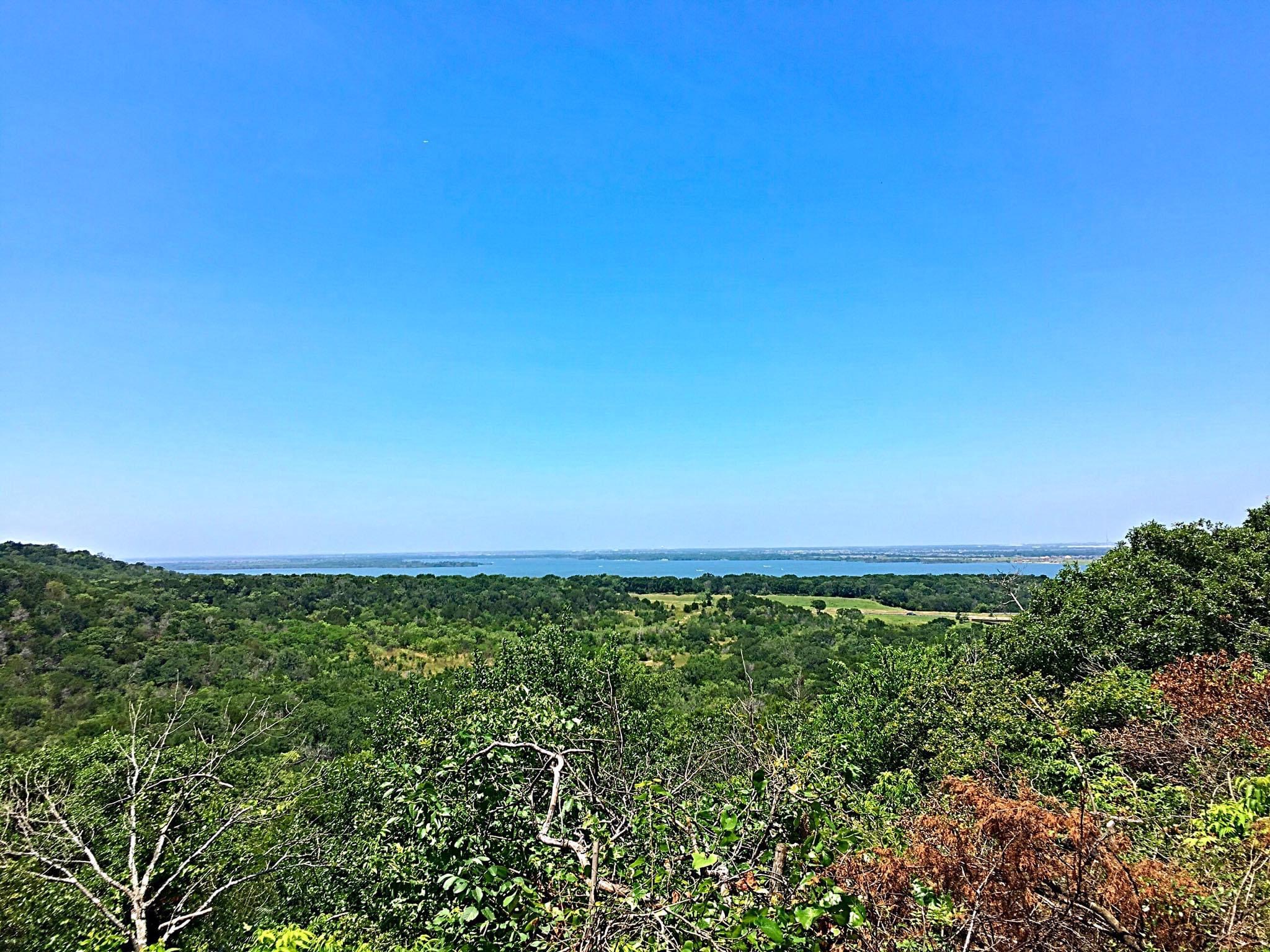 Cattail Pond Loop