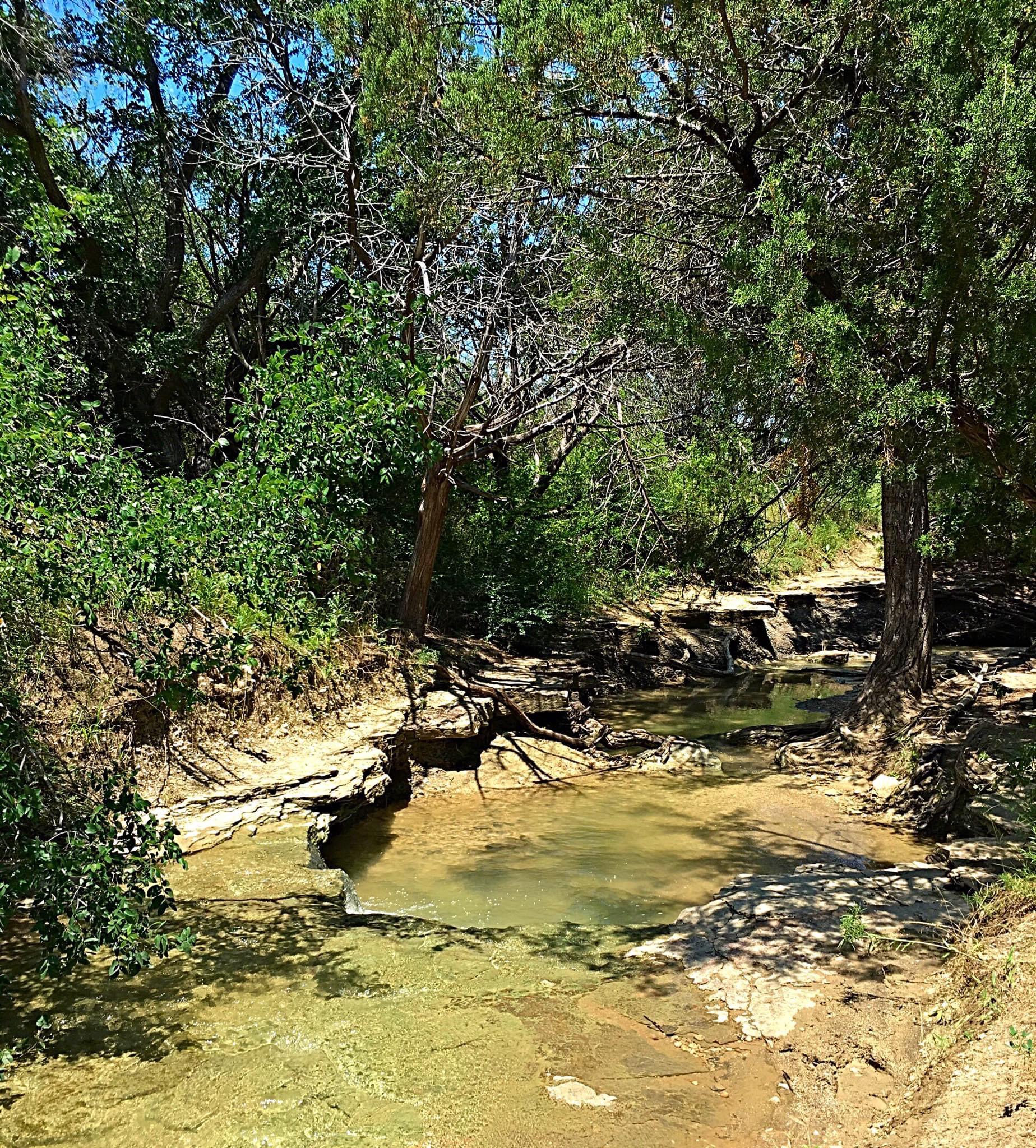 Cattail Pond Loop