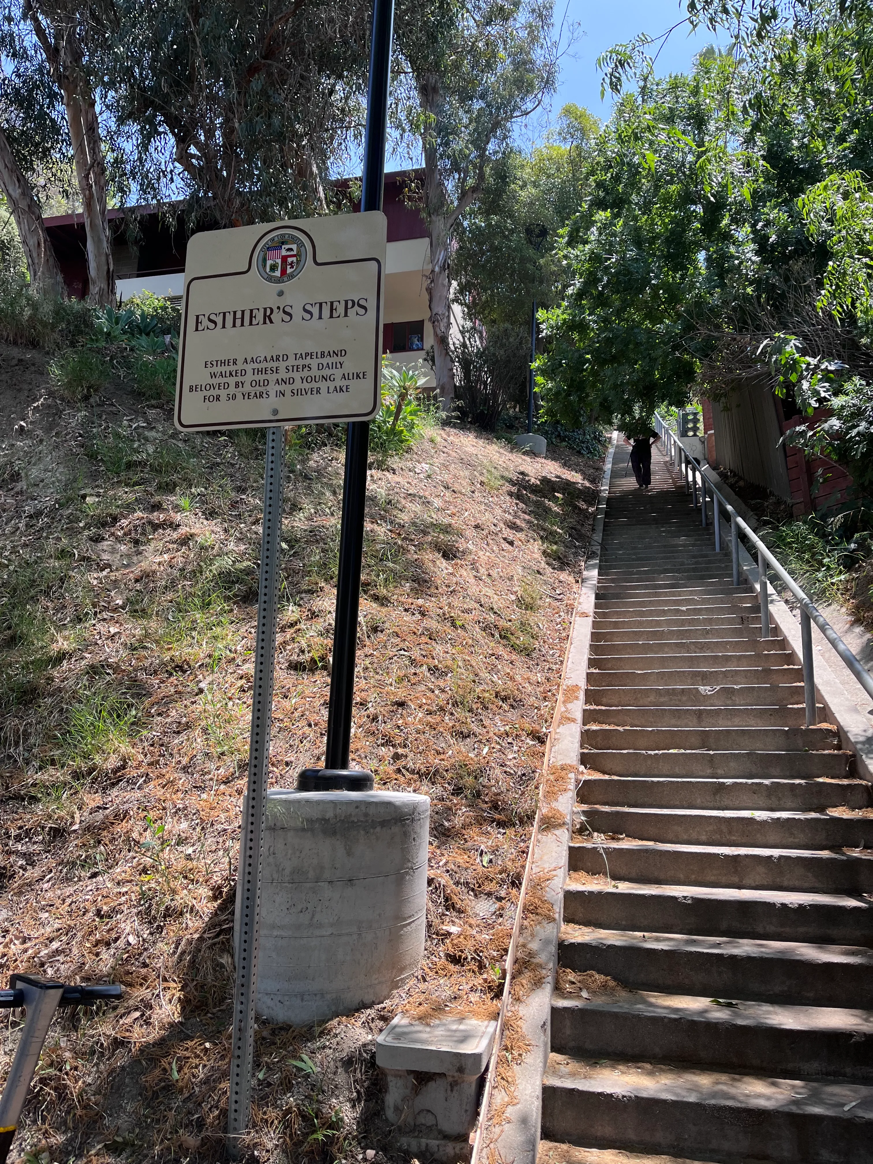 Landa St Stairs (Esther's Steps)