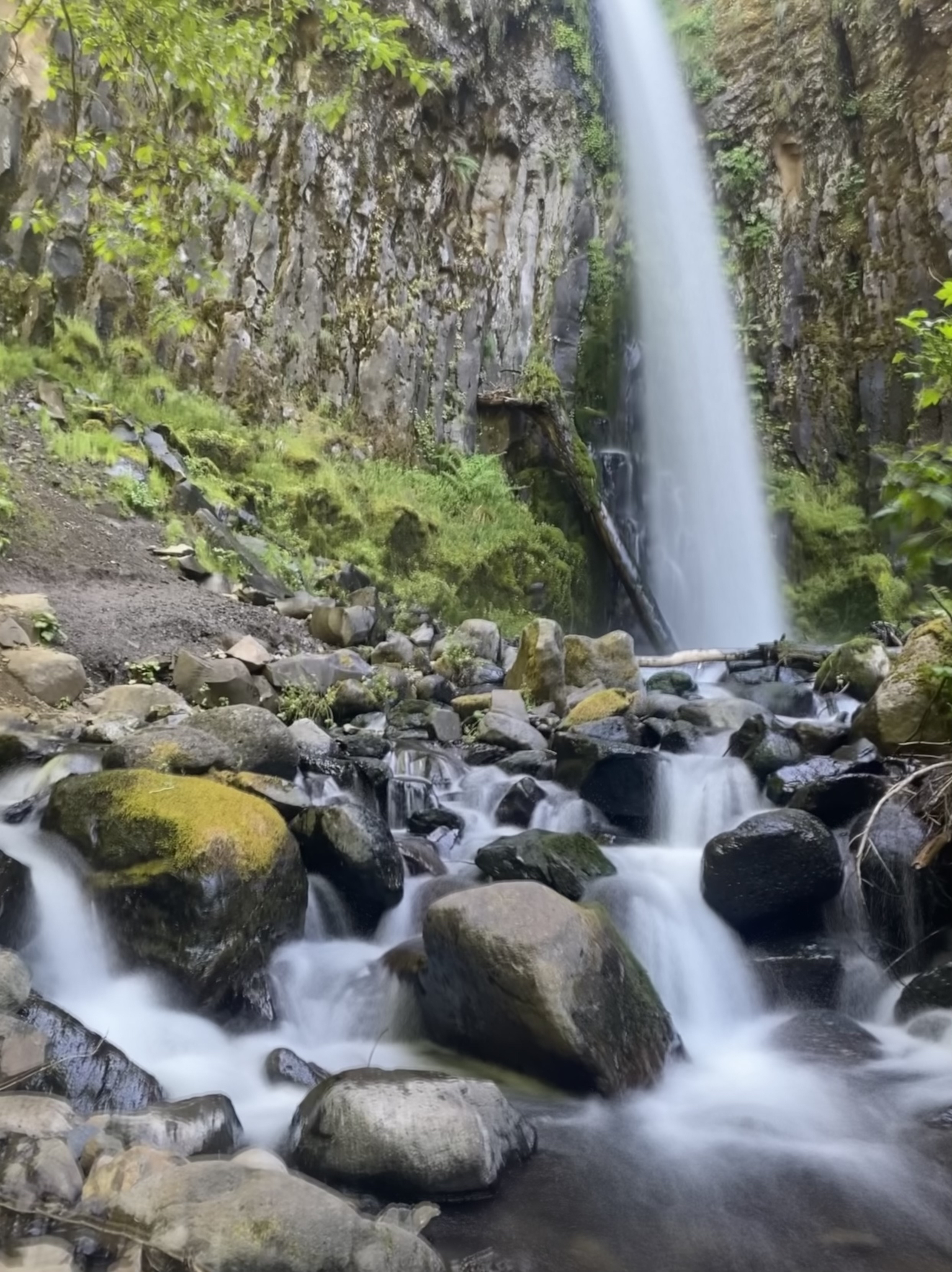 Dry Creek Falls via PCT