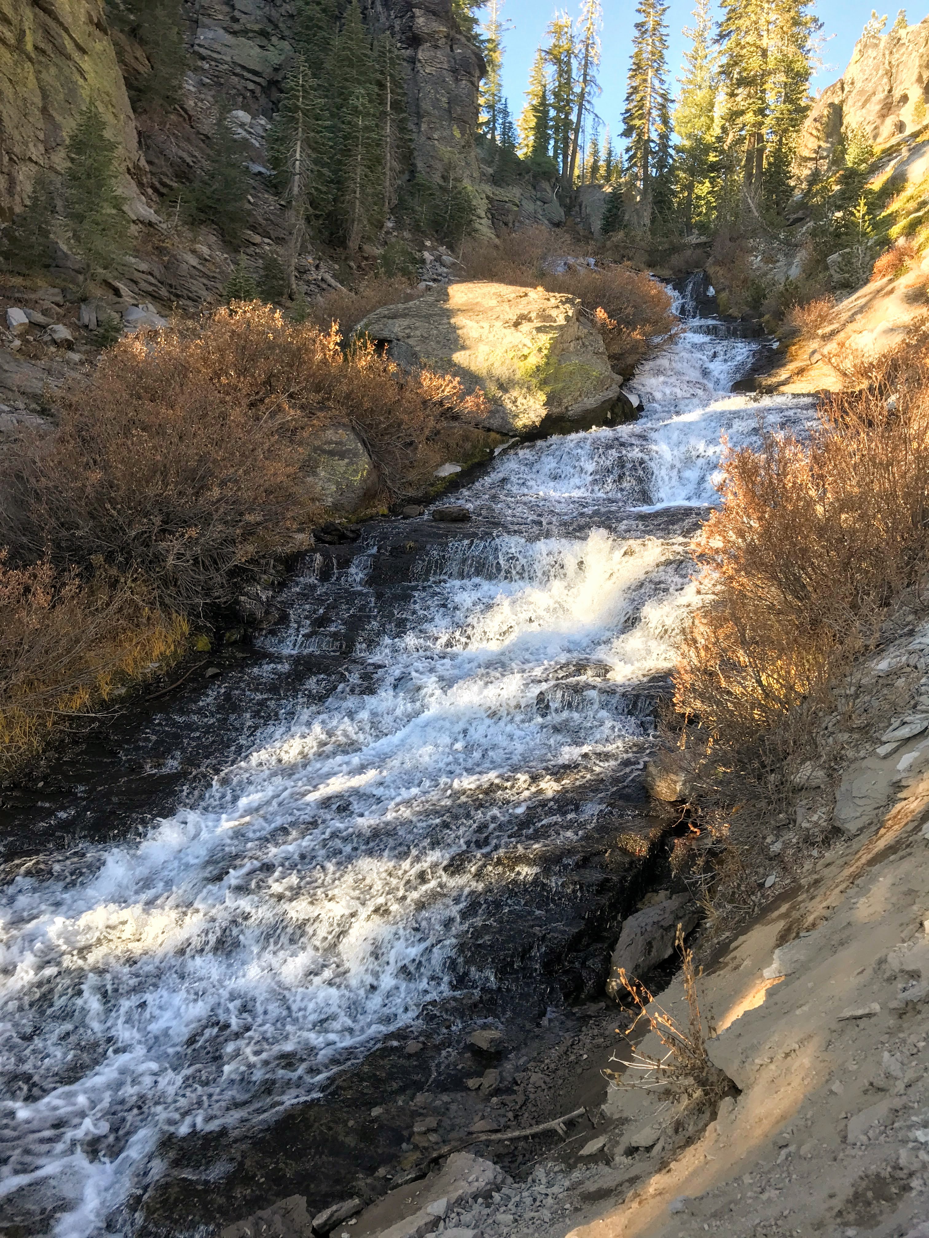 Kings Creek Falls Trail