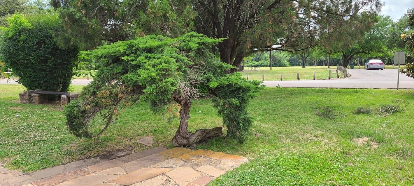 Kiest Park Trail