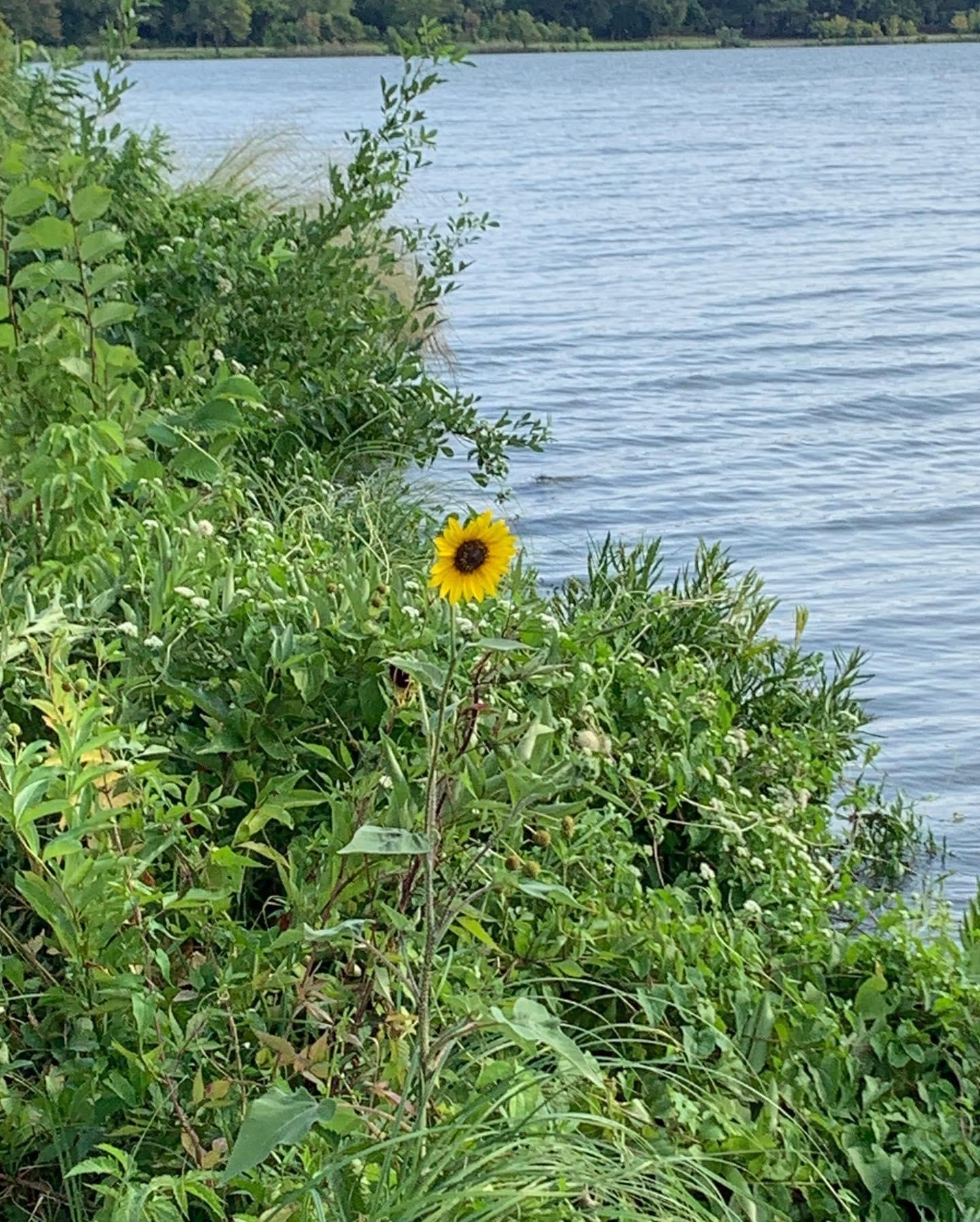 White Rock Lake Loop