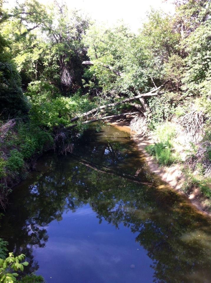 Little Bear Creek Trail