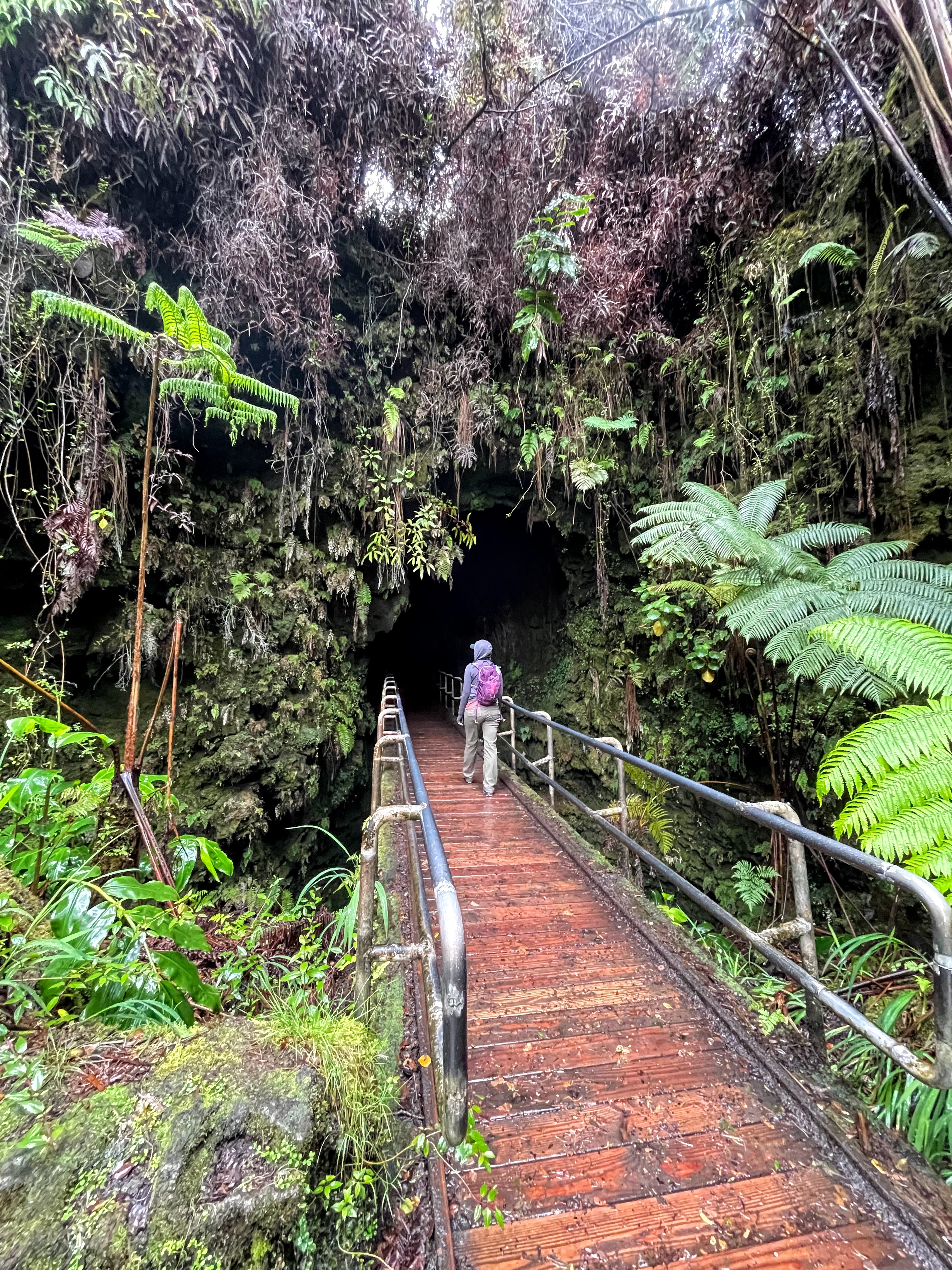 Thurston Lava Tube Trail