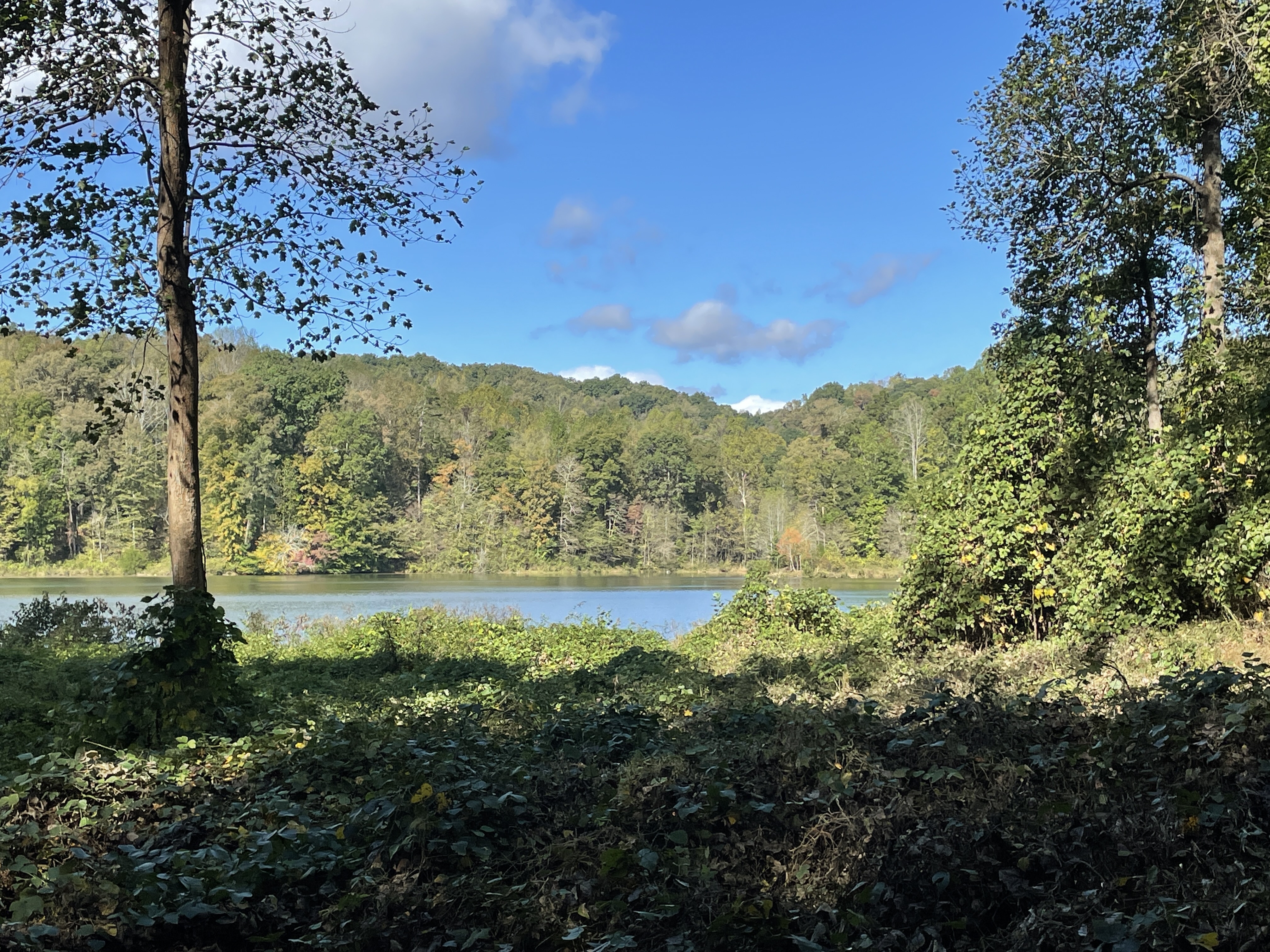 Lake Zwerner (aka Yahoola Creek Reservoir)