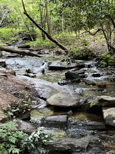Long Branch Loop Trail
