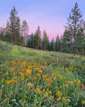 You gotta take this scenic Cascade Loop weekend road trip!