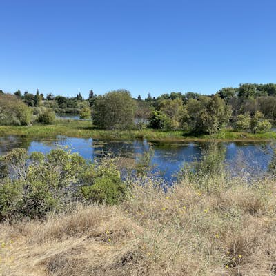 Levee Path/American River Bike Trail: Williams Pond Rec Area to Watt Ave