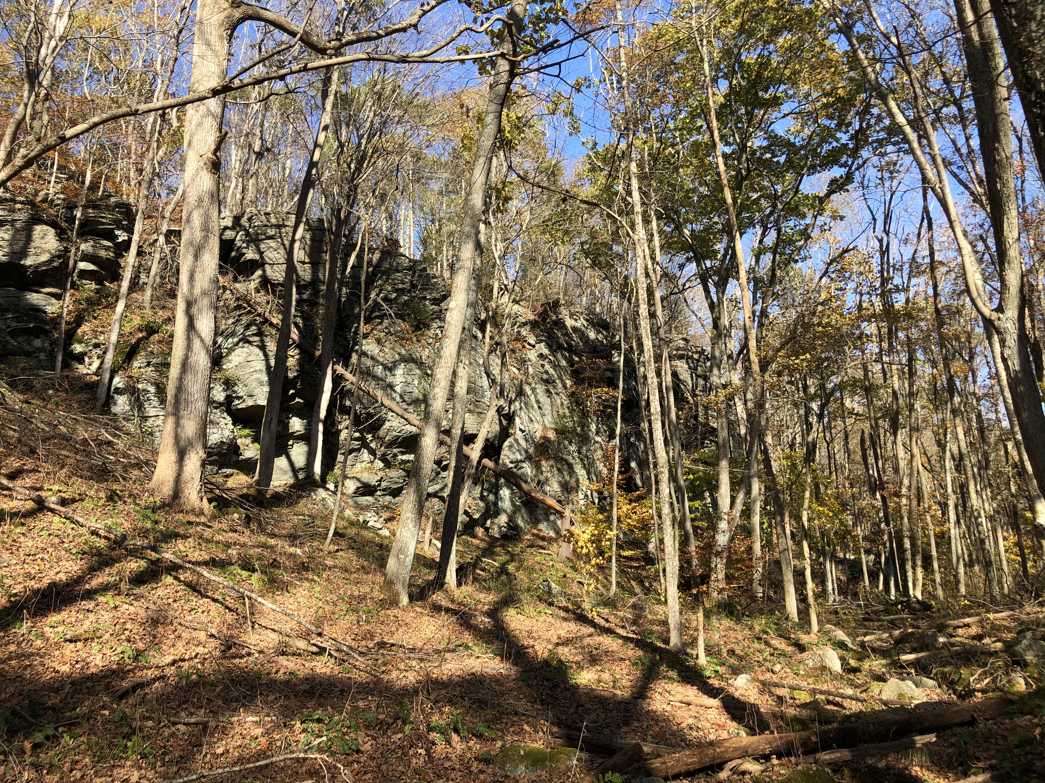 Hike Narragansett Trail