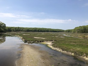 Hike Rocky Neck State Park Trail