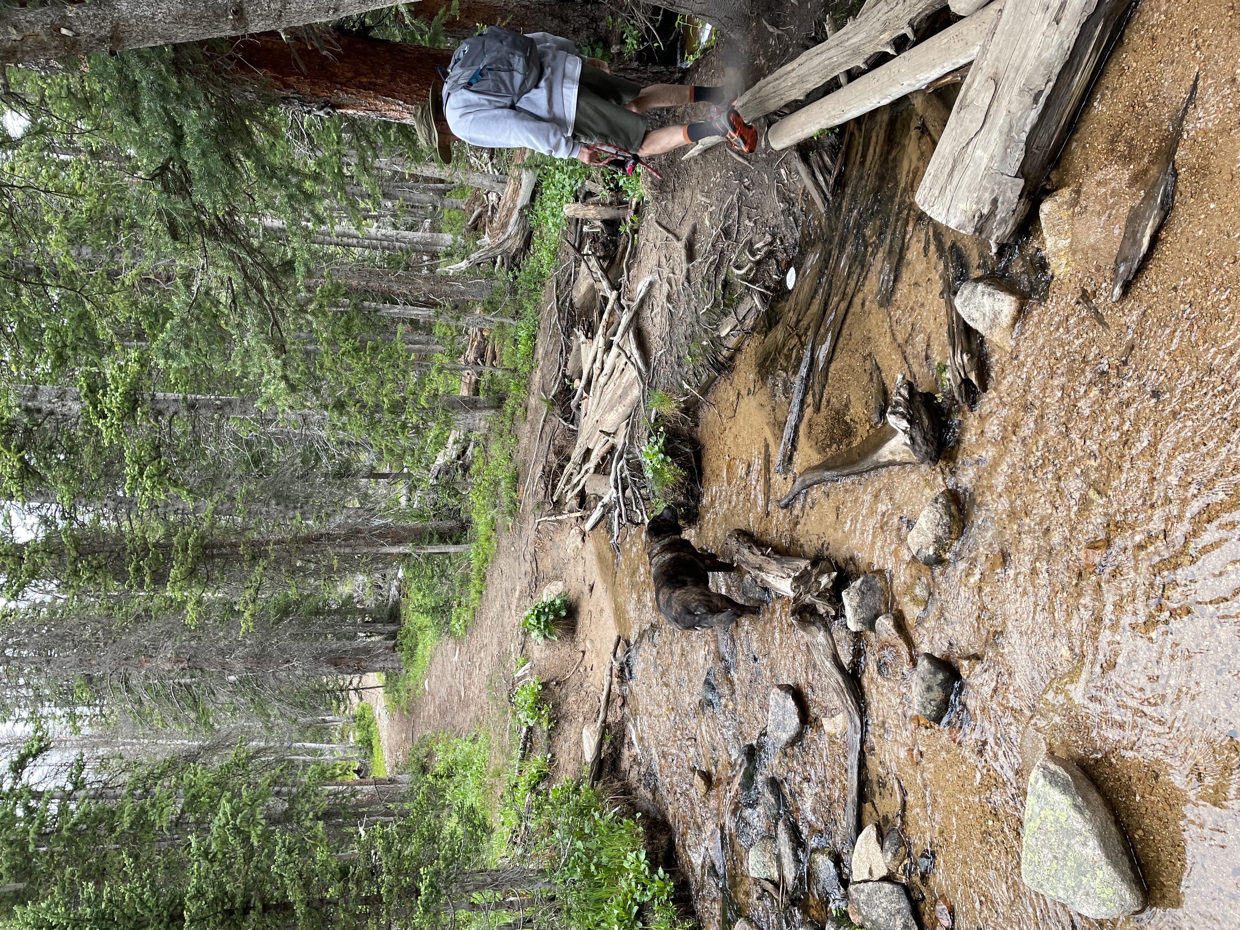 Waterdog Lakes Trail
