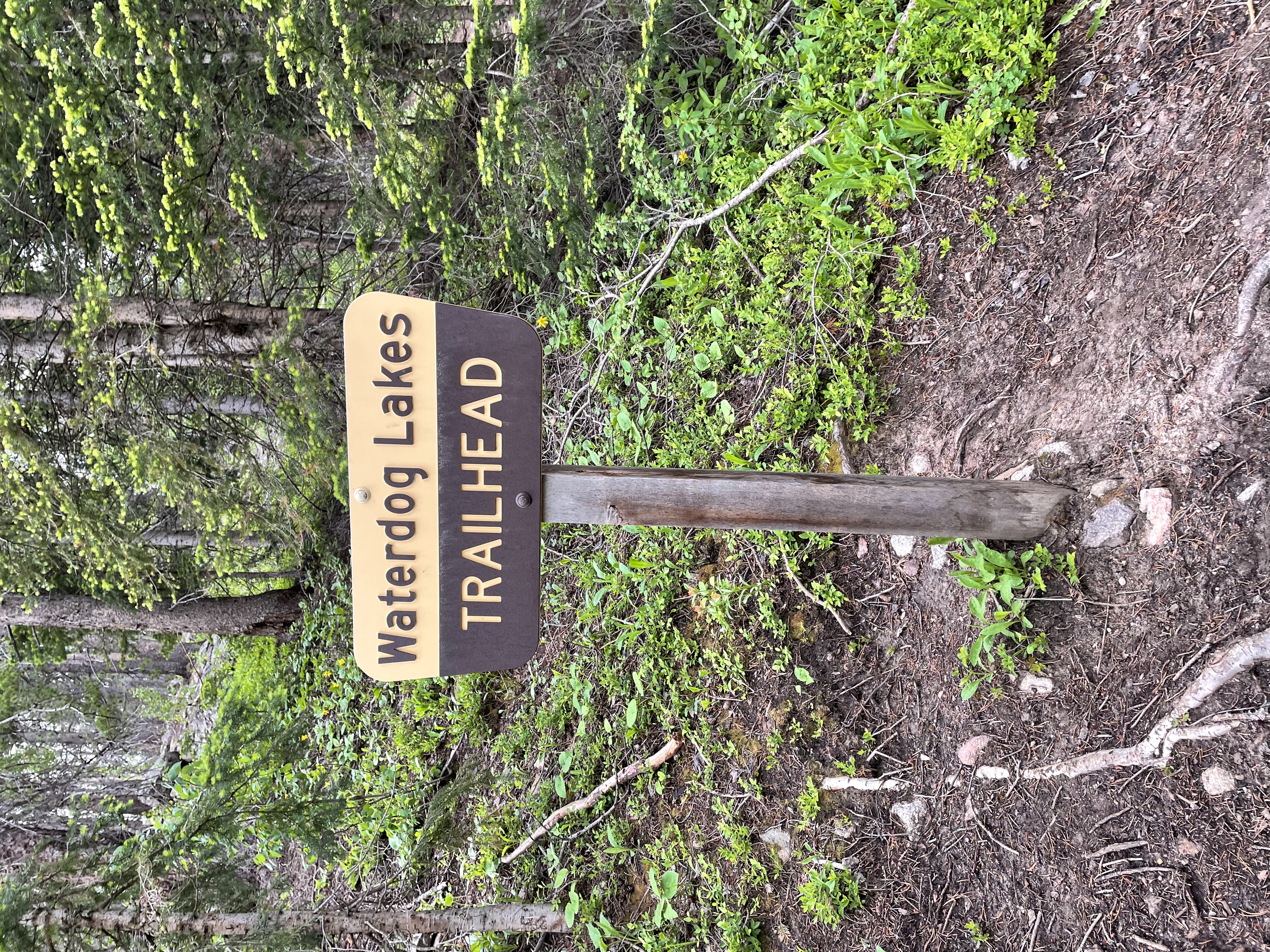 Waterdog Lakes Trail