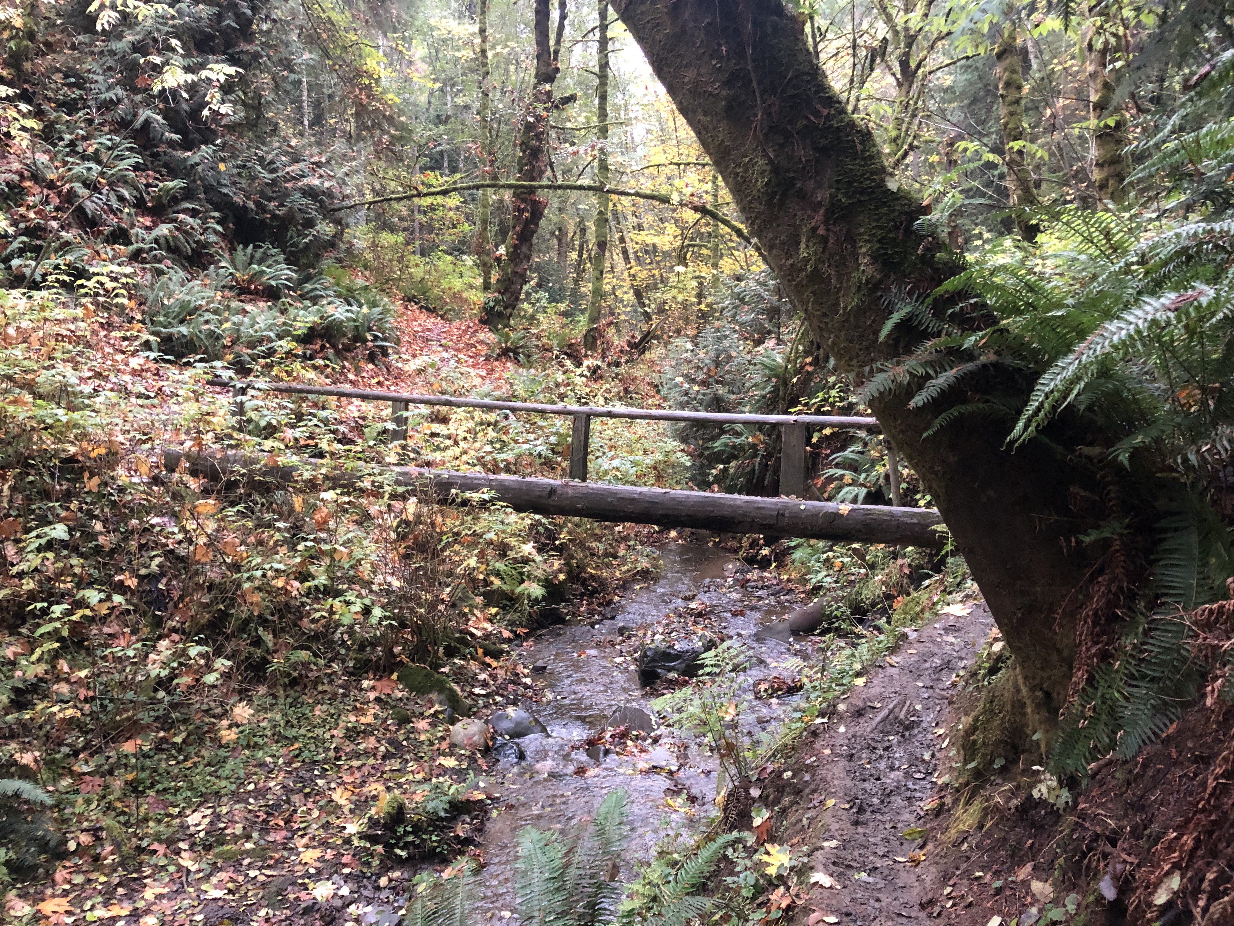 my rv works port angeles