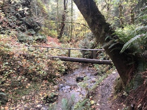 Peabody Creek Trail