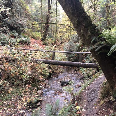Peabody Creek Trail