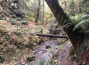 Peabody Creek Trail