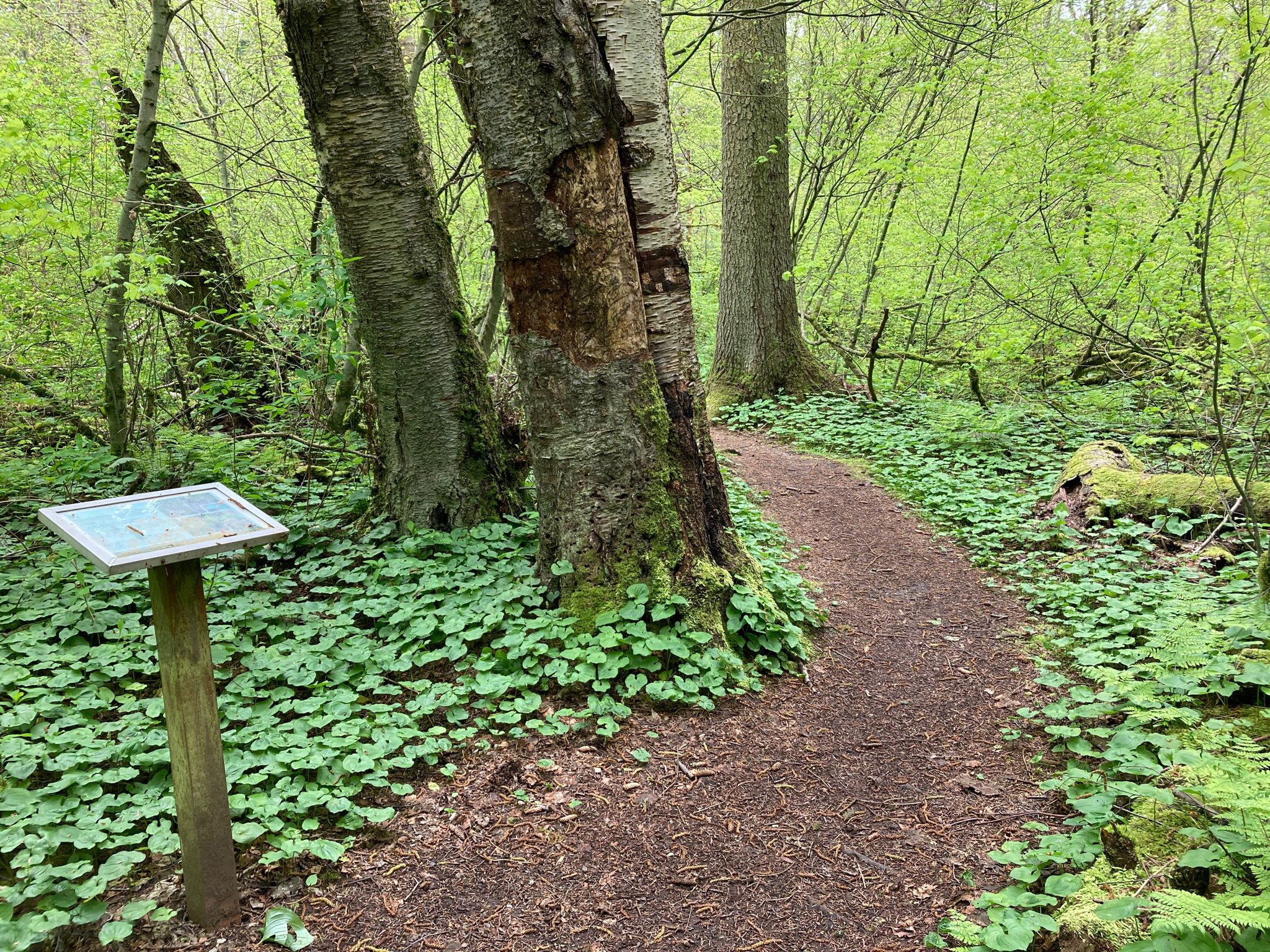 Terrell Marsh Trail