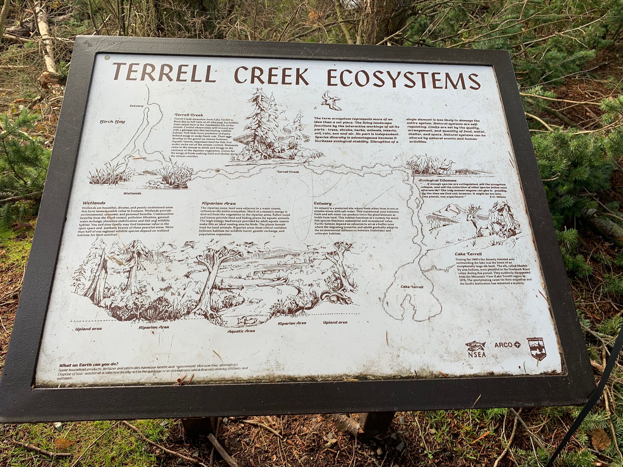 Terrell Marsh Trail