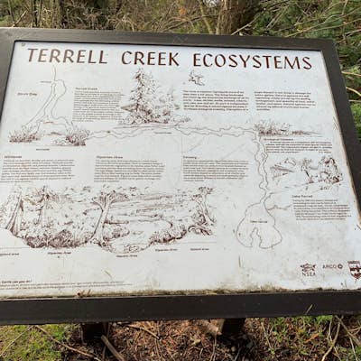 Terrell Marsh Trail