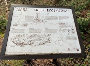 Terrell Marsh Trail