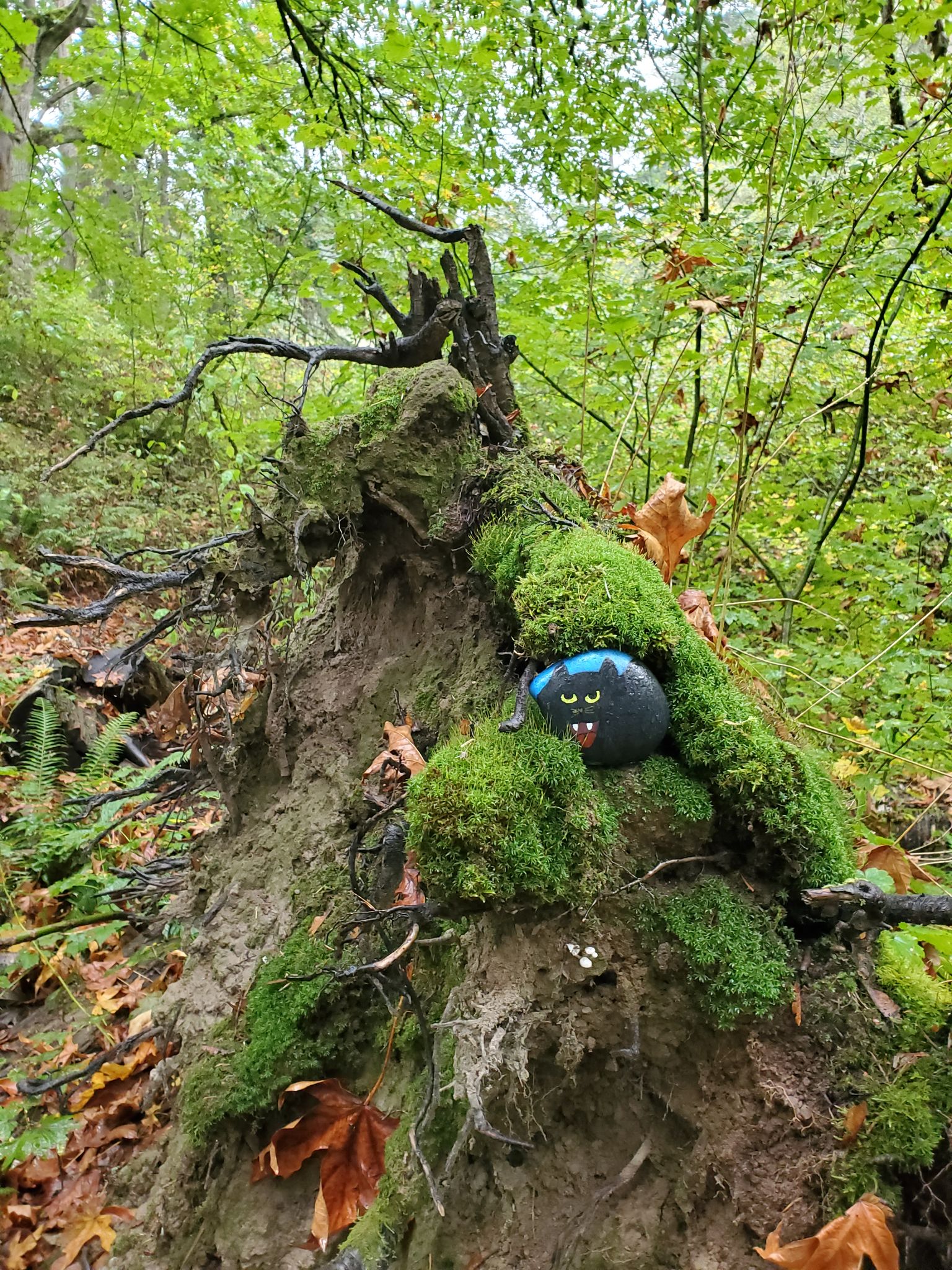 Terrell Marsh Trail