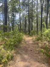 Lone Star Hiking Trail