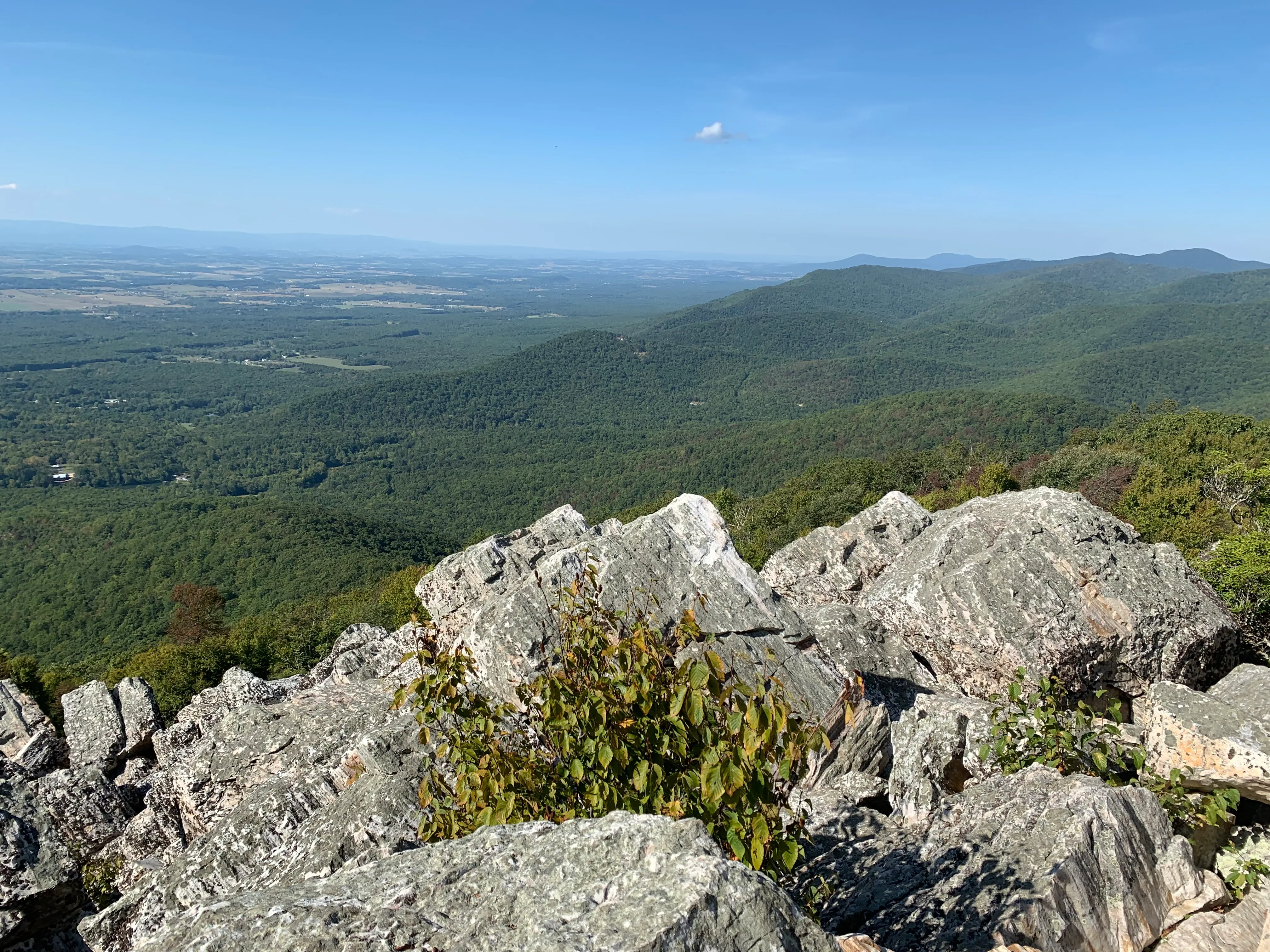 Hike Turk Mountain