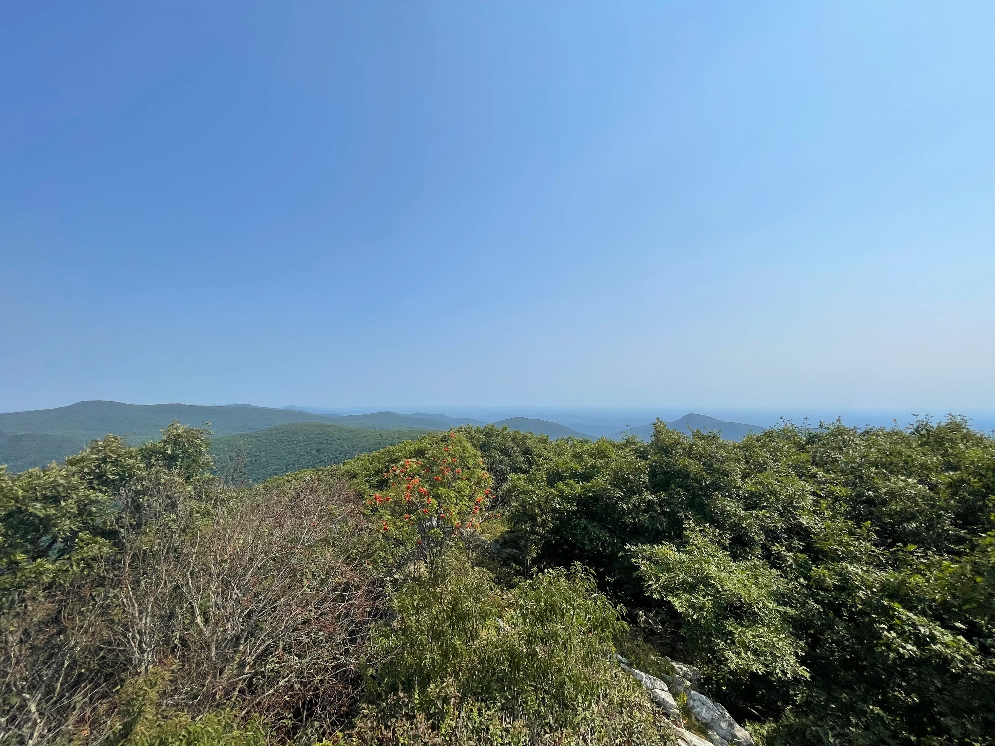 Hawksbill Mountain Summit